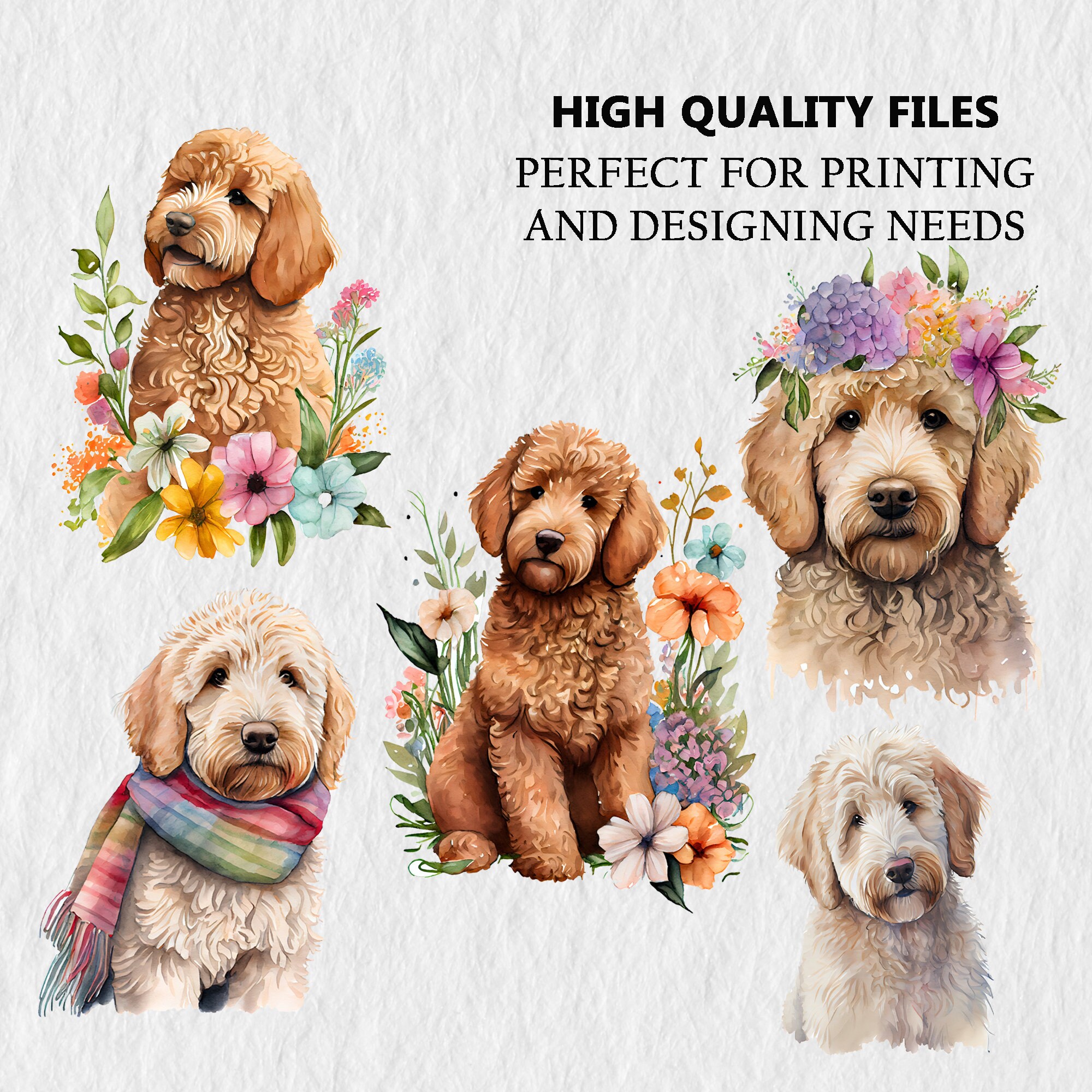 Goldendoodle Clipart Goldendoodle Element Dog Images Dog Etsy
