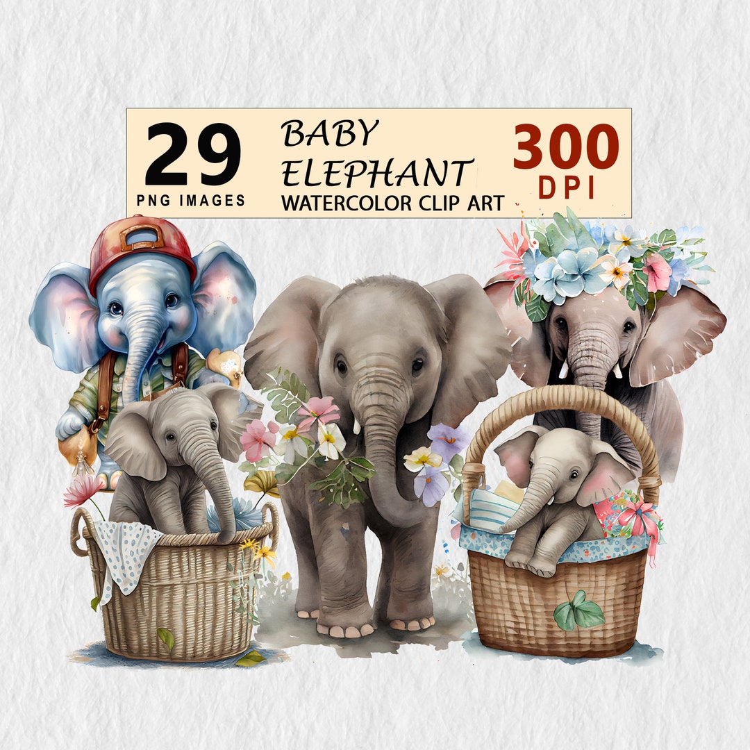 Baby Elephant Watercolor Clipart Illustration Transparent PNG Download ...