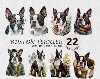 Boston Terrier Dog Clipart Pack Commercial Use Vector - Etsy