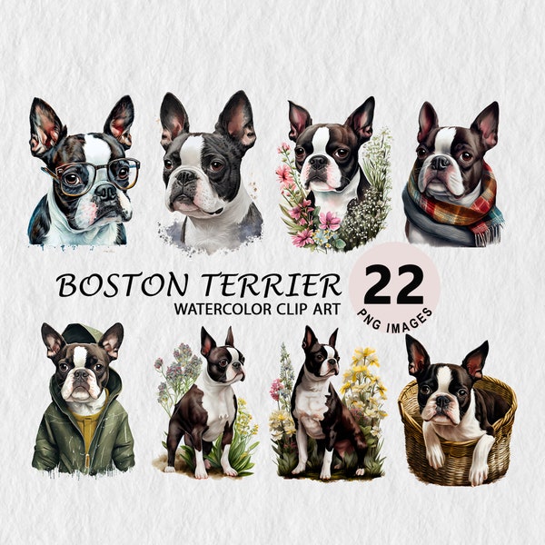 Boston Terrier Watercolor Clipart Illustration Transparent PNG Download Bundle Wall Art, Invitation, Free Commercial License Stickers