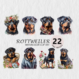 Rottweiler Clipart Watercolor Illustration Transparent PNG Bundle Scrapbooking Wall Art T-shirt, Mugs Cap Free Commercial License Stickers