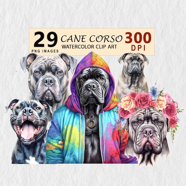 Cane Corso Dog Watercolor Clipart Illustration Transparent PNG Download Bundle Wall Art Invitation T-shirt Free Commercial License Stickers