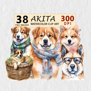 Akita Dog Clipart Watercolor Downloadable Illustration Transparent PNG Element Wall Art Invitation Scrapbook Mug Tshirt License Stickers