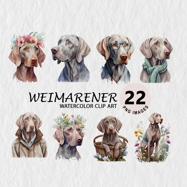 Weimaraner Clipart Watercolor Downloadable Illustration Transparent PNG for Wall Art, Invitation, Scrapbooking, T-shirt Stickers