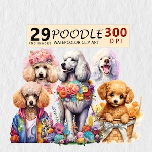 Poodle Dog Clipart Watercolor Downloadable clip Illustration Transparent PNG Element Wall Art, Invitation, Scrapbook, Mug, Tshirt, Stickers