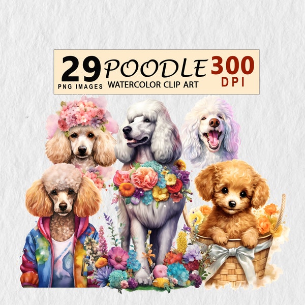 Poodle Dog Clipart Watercolor Downloadable clip Illustration Transparent PNG Element Wall Art, Invitation, Scrapbook, Mug, Tshirt, Stickers