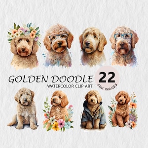 Goldendoodle Clipart, Goldendoodle Element, Hundebilder, Hund Aquarell, digitaler Download, Kartengestaltung, Scrapbooking, Welpe Aufkleber