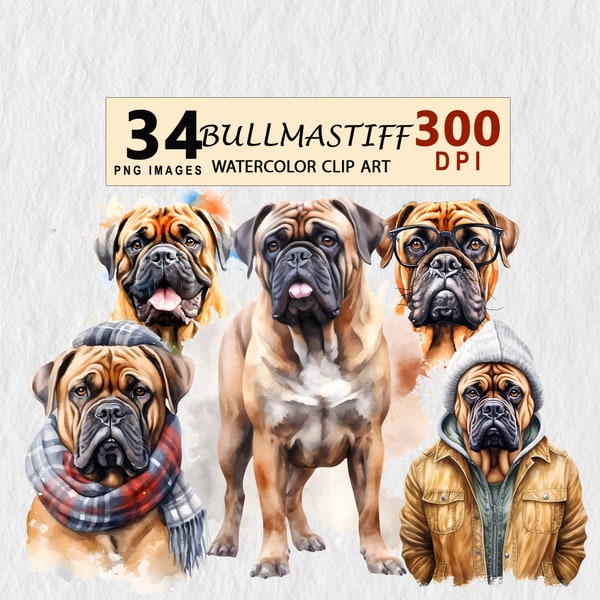 Bullmastiff  Watercolor Clipart Digital Art Transparent PNG Download Illustration Commercial License Invitation Mugs Tshirt Stickers