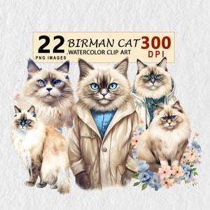 Birman Cat Watercolor Clipart Illustration Transparent PNG Download Bundle Wall Art Invitation TShirt Mug Free Commercial License Stickers