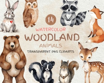 Waldtiere Clipart, Aquarell Waldland Clipart, Baby Tiere PNG, Aquarell Fuchs Bär Reh Eule Häschen Stinktier Waschbär Eichhörnchen.