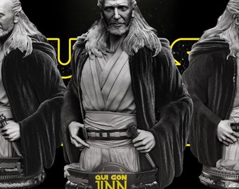 Qui-Gon Jinn 3D Model