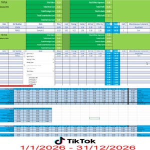 May include: A spreadsheet displaying financial data for TikTok from January 1, 2026, to December 31, 2026. The document includes sales, costs, and profit figures, with item details and bank information. The TikTok logo is visible at the bottom.