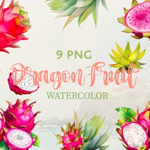 Aquarell Drachenfrucht 9 PNG Clipart handgemachte Sammlung, gestaltete Einladungen, Karten, Poster. Pink Pitaya Art Tropisches exotisches Essen.