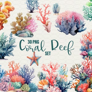 Koraalrif Clipart, Oceaan clipart Zee illustraties, 30 png. Zeedieren onder water. Nautische clipart. Digitale aquarel commercieel gebruik