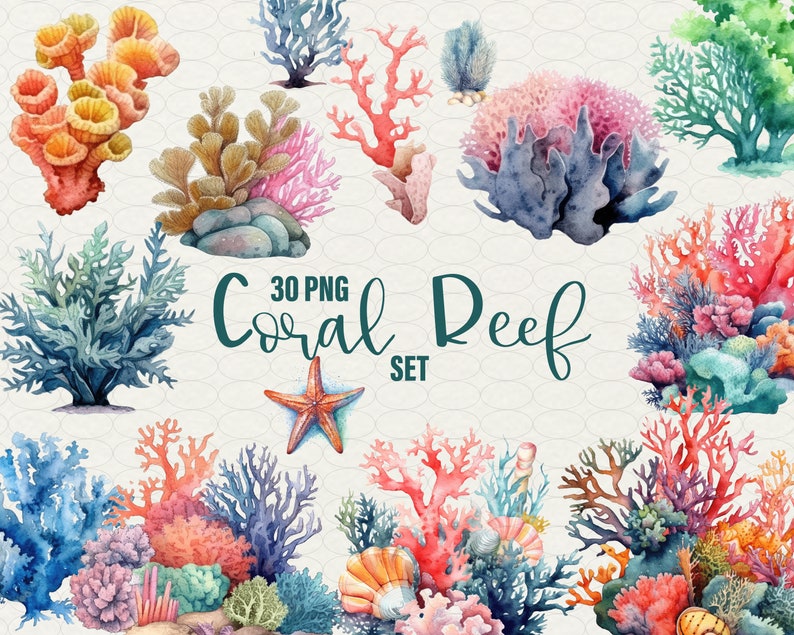 Op de afbeelding: Een set van 30 aquarel illustraties van koraalrif elementen, waaronder koraal, zeewier, zeesterren en schelpen. De illustraties zijn in tinten roze, blauw, groen en oranje.