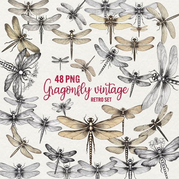 Vintage Dragonflies Clipart, Watercolor Retro Dragonfly 48 PNG, Monochrome Watercolor dragonfly, Junk Journal, scrapbook, Commercial use