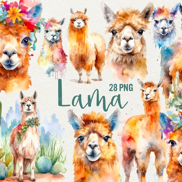 Watercolor Llama Clipart, 28 PNG Llamas Watercolor Clipart Animals Clipart Llama and Alpaca, Cactus llama Clipart Digital Art Commercial Use