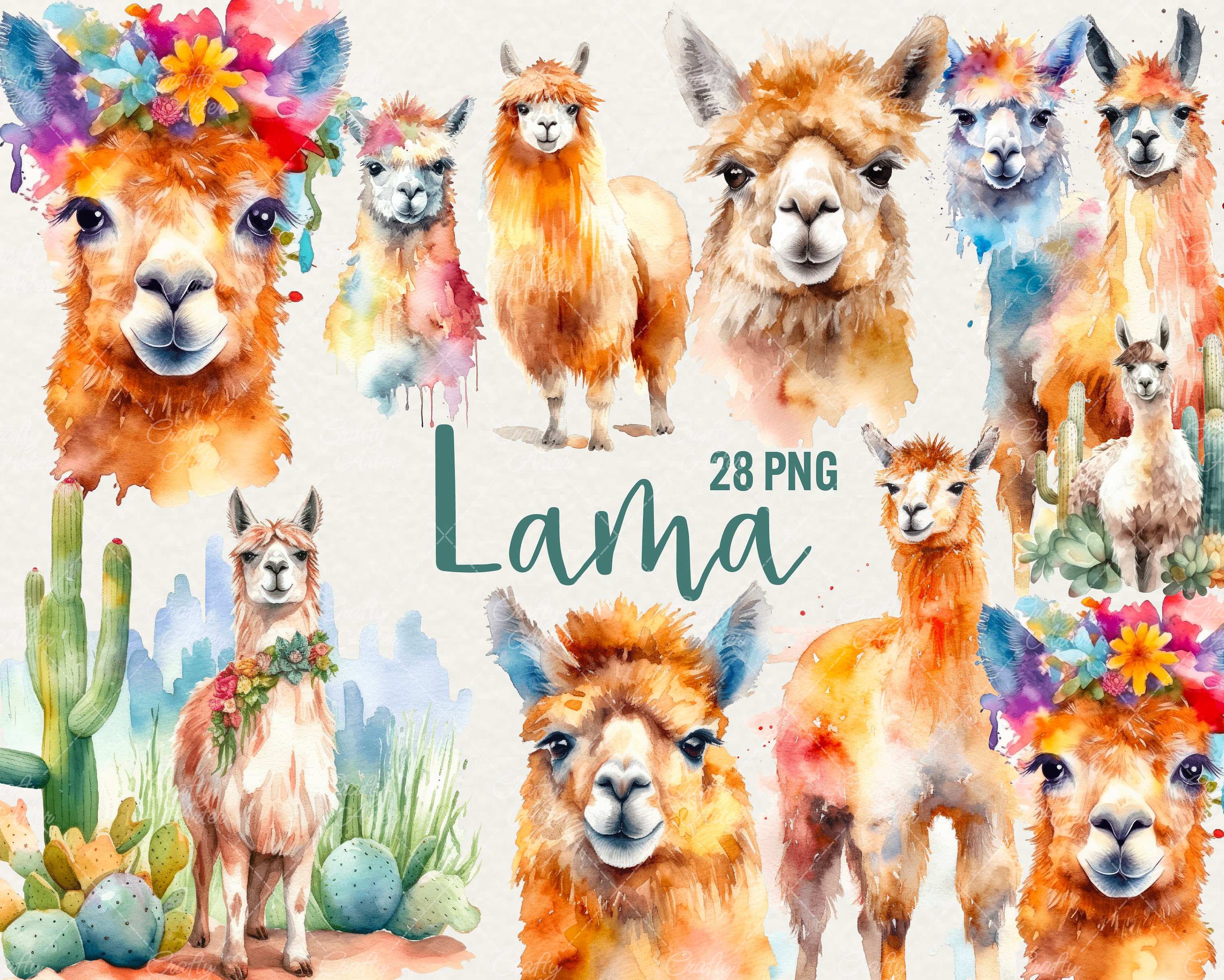 Watercolor Llama Clipart, 28 PNG Llamas Watercolor Clipart Animals Clipart Llama and Alpaca, Cactus llama Clipart Digital Art Commercial Use