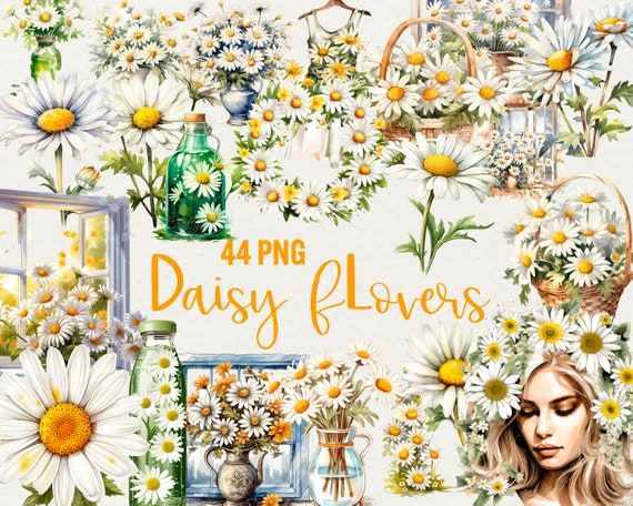 Watercolor Daisy Flowers Clipart: 44 PNG Files, Daisy Wreath (Commercial Use)