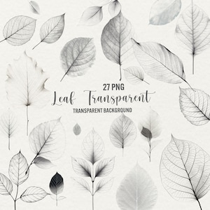 Clipart de feuille, feuille transparente de 27 png, feuilles minimalistes, clipart de faire-part de mariage, téléchargement immédiat, usage commercial