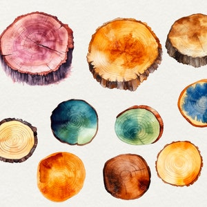 Watercolor Wood Slice Clipart: 38 PNG Wooden Board Graphics (commercial ...