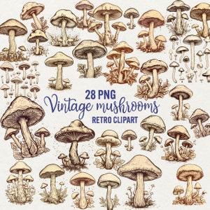 Champignons rétro clip art champignons illustration 28 PNG, graphismes rétro champignons pour impression Ephémères Téléchargement instantané pour un usage Commercial