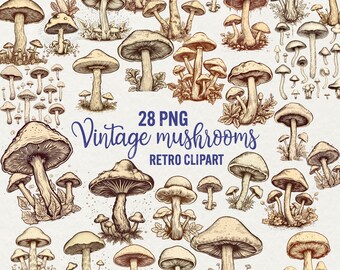 Vintage Mushroom Clipart: Retro Style Graphics (28 PNG)