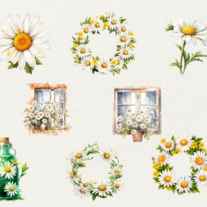 Watercolor Daisy Flowers Clipart, 44 Png Watercolor Daisy Flowers Clipart Daisy Wreath, Scrapbooking Flowers, Commercial Use