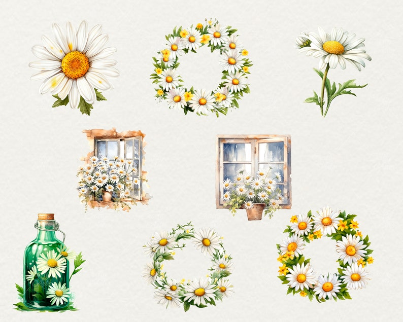 Watercolor Daisy Flowers Clipart, 44 Png Watercolor Daisy Flowers Clipart Daisy Wreath, Scrapbooking Flowers, Commercial Use