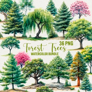 Aquarel bos bomen clipart, 36 png aquarel boom, natuur graphics, afbeeldingen bloesem bomen, groen, instant download, commercieel gebruik