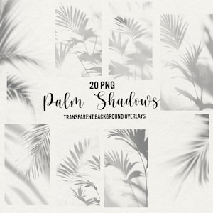 Superposición de sombras tropicales, 20 superposiciones de sombras de palmeras png, efecto de sombra de plantas, superposición de Photoshop, fondo de fotografía, descarga instantánea, uso comercial