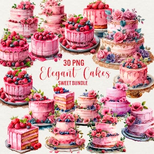 水彩ピンクのケーキのクリップアート、30 個の PNG バースデー ケーキ、エレガントなウェディング デザート、甘くておいしいケーキのクリップアート、即時ダウンロード、商用利用。