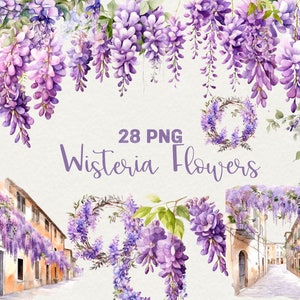 Watercolor Wisteria Clipart, 28 Png Watercolor Purple Wisteria Flowers Clipart, Scrapbooking Flowers, wreath, Italy street, Commercial Use