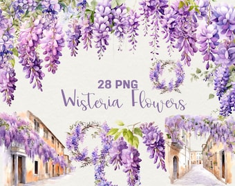 Watercolor Wisteria Clipart, Purple Flower PNG, Commercial Use