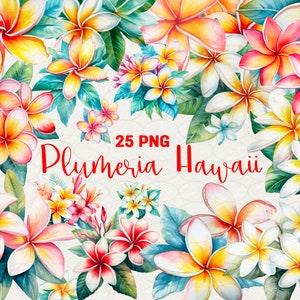 Watercolor Plumeria Clipart, Pink plumeria PNG, 25 png watercolor flowers plumeria illustration, flowers scrapbooking, Commercial Use