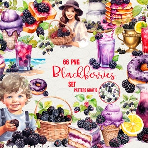 Blackberry-clipart, aquarel braambessen clipart 66 png, limonade, cake, vrouw, milkshake, bloemenborder, mand en meer commercieel gebruik