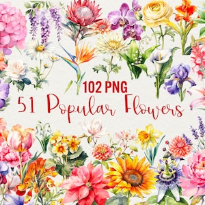 Akwarela Assorted Flowers 102 PNG, Akwarela Floral Clipart Bukiet, Cyfrowy clipart PNG Elementy, Komercyjne Wykorzystanie