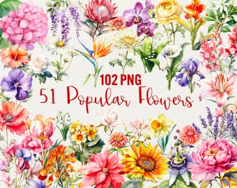 Op de afbeelding: Een verzameling van 51 aquarel illustraties van populaire bloemen, waaronder rozen, lelies, zonnebloemen en meer. In totaal zijn er 102 PNG-bestanden.