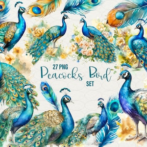 Aquarel pauwen clipart, aquarel magische pauw clip art 27 PNG-afbeeldingen, instant download, commercieel gebruik.