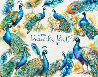 Watercolor Peacocks Clipart: 27 PNG Graphics (Commercial Use)