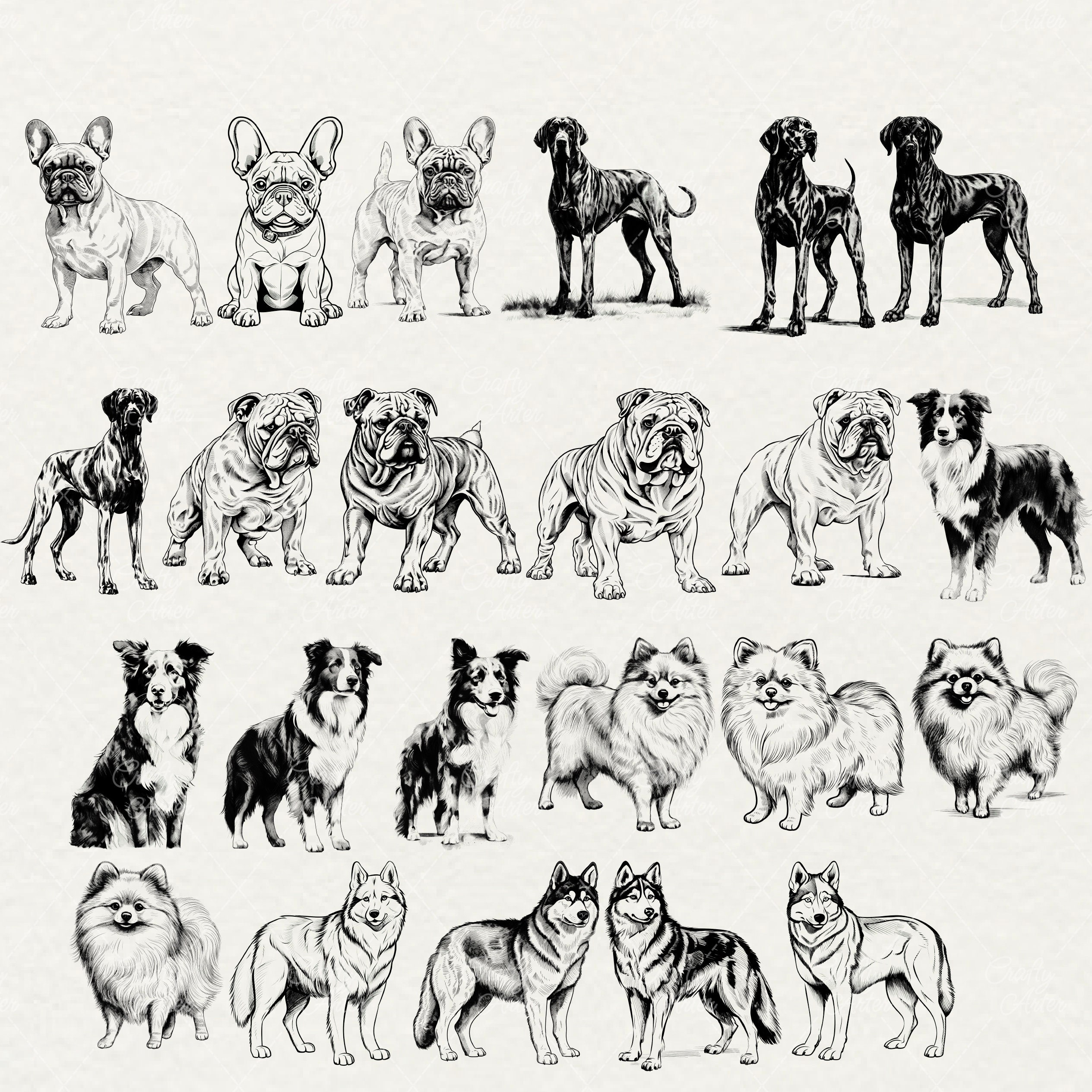 Dog Breeds Clipart: Vector Line Art Illustrations (SVG & PNG) - Etsy