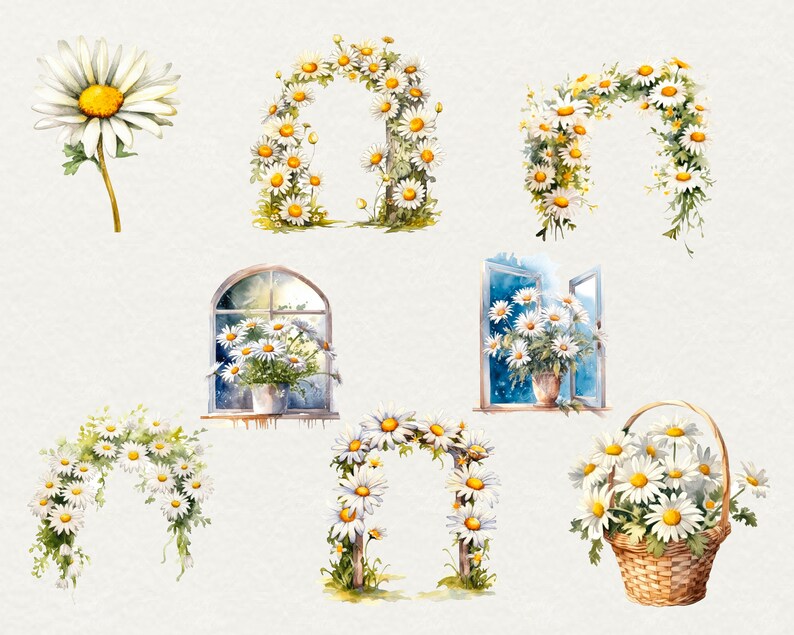 Watercolor Daisy Flowers Clipart, 44 Png Watercolor Daisy Flowers Clipart Daisy Wreath, Scrapbooking Flowers, Commercial Use