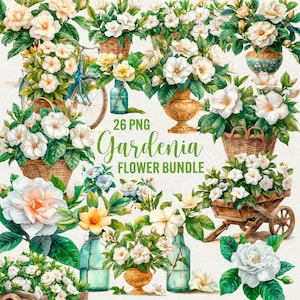 Flores de gardênia aquarela clipart, 26 png gráficos de flores de primavera, gardênias florais de verão, flores brancas download instantâneo, uso comercial