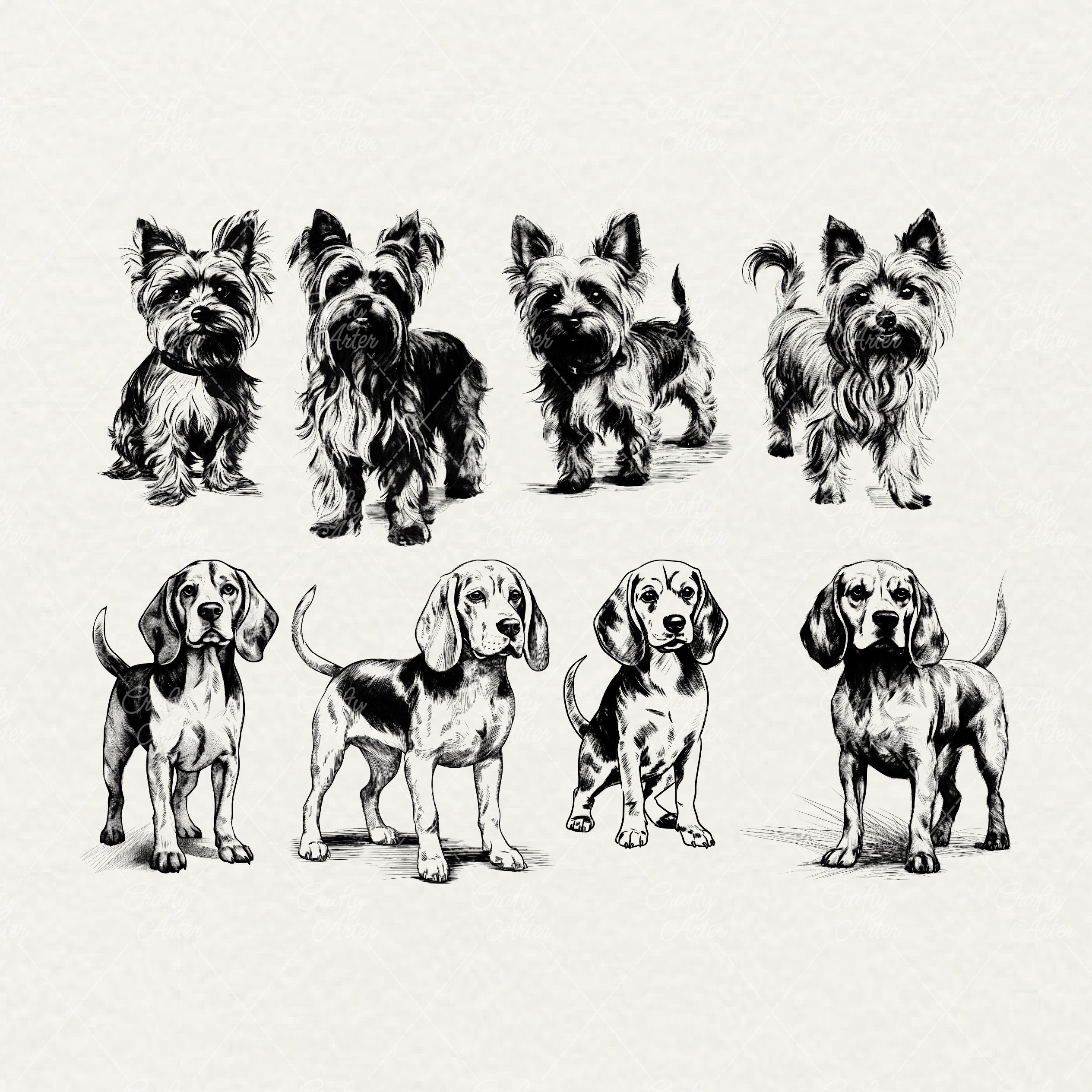 Dog Breeds Clipart: Vector Line Art Illustrations (SVG & PNG) - Etsy