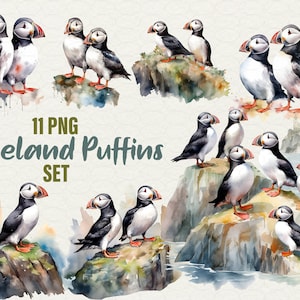 Island Papageitaucher Clipart, Outdoor Papageientaucher, Gletscher Papageitaucher Vogel, druckbare Illustration Aquarell Papageientaucher Natur, kommerzielle Nutzung