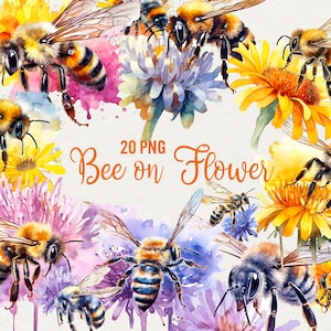 Watercolor Bee on flower Clipart, 20 PNG spring garden summer clipart Watercolor bee clip art, flower bee illustration, Commercial Use
