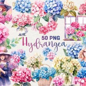 Watercolor Hydrangea Clipart Pink Hydrangea PNG Watercolor Flowers Blue Hydrangea Flowers Scrapbooking, 50 png for Commercial Use