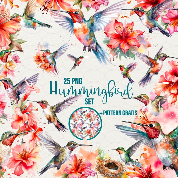 Hummingbirds watercolor clipart, exotic birds, 25 PNG hummingbird png, garden birds, wild bird, Gift seamless pattern, Commercial Use.