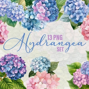 Aquarell Hortensien Blumen Clipart Set 13 PNG für Einladung Geschenkkarten, blaue und rosa Blumen Illustration Blume Clipart, kommerzielle Nutzung