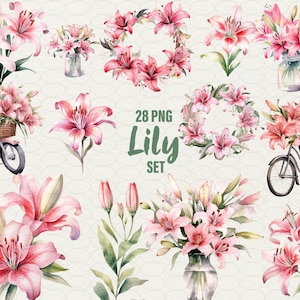 Clipart de lírio aquarela, lírios rosa PNG, ilustração de lírio de flores em aquarela, flores de lírio, scrapbooking de lírio, 28 png Uso comercial